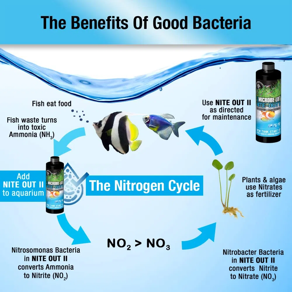 MICROBE-LIFT Nite-Out II – Bakterienstarter für Süßwasser & Meerwasser Aquarium, für schnellen Fischbesatz