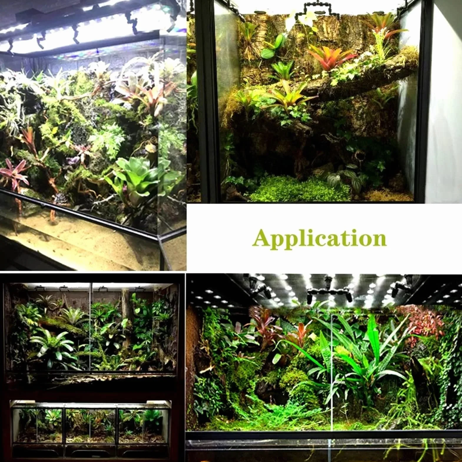 Reptilien-Terrarium, Glas, transparente Futterbox, Zuchtbox für Reptilien und Amphibien, Insekten, Spinne, Schildkröte, Schlange (60 x 45 x 90 cm)