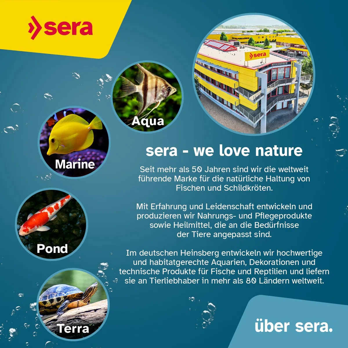 sera Tortoise Adult Vital Mix 3,8L (750g) | Hauptfutter für Landschildkröten & Herbivore Reptilien | Pflanzliches Schildkrötenfutter | Schildkröten zubehör | Schildkröten Futter