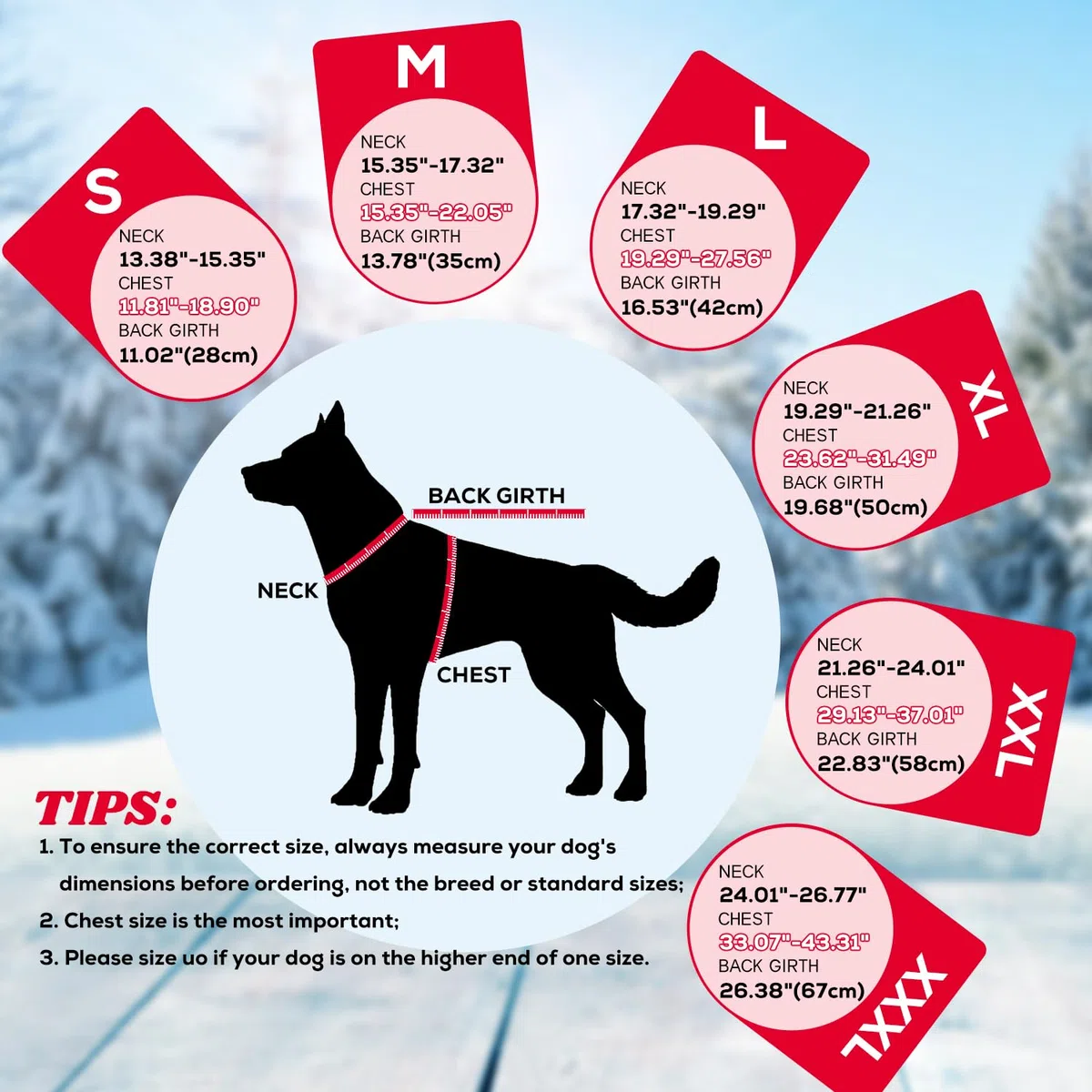 EMUST Hundemantel für den Winter, kuschelige Winterjacke für kleine/mittlere bis große Hunde, einfarbiger Hundemantel für die kalte Jahreszeit mit Fleecefutter, Rot, XXXL