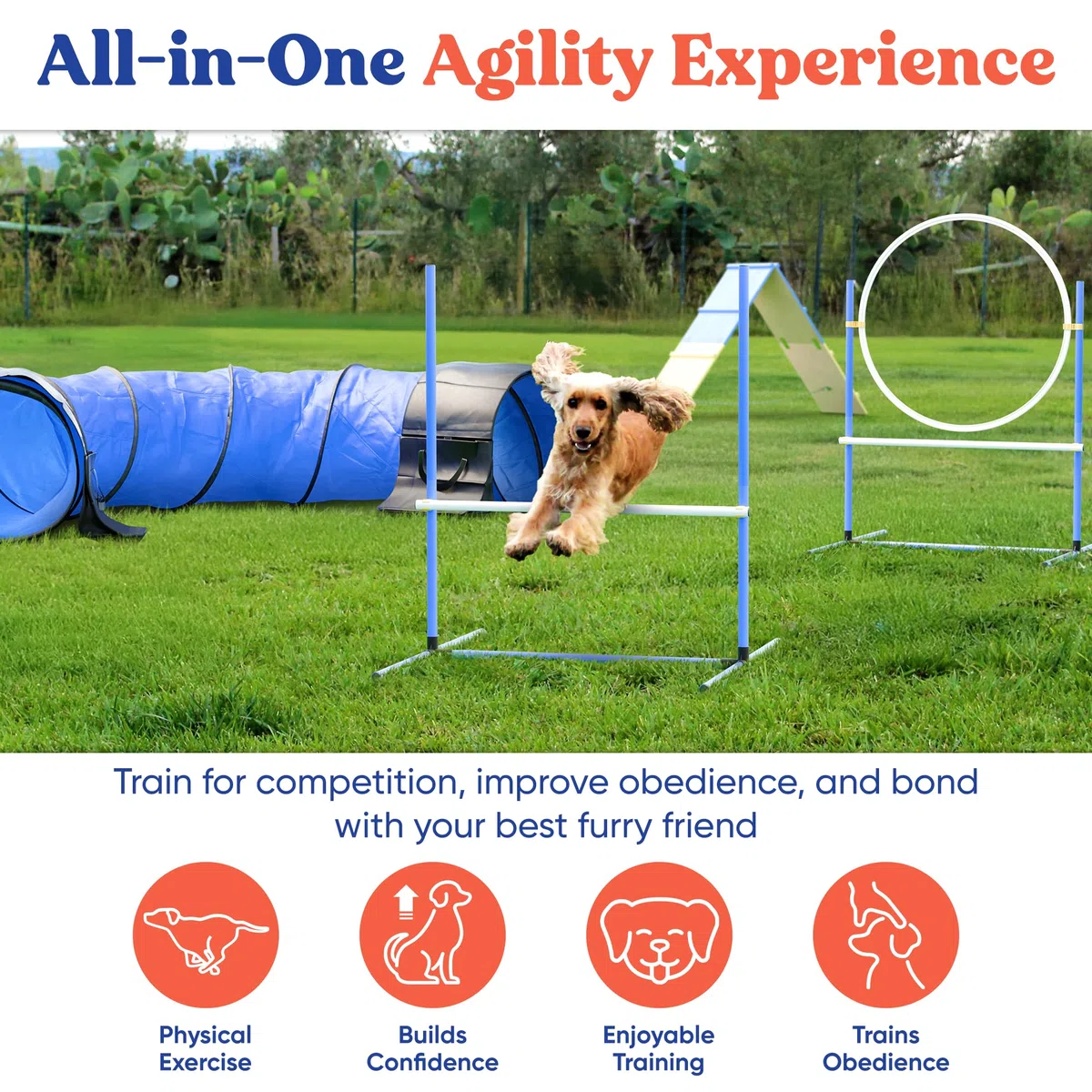 FetchFlow Agility-Ausrüstung für Hunde – Komplettes Hunde-Agility-Kurs-Hinterhof-Set mit geflochtenen Stangen, A-Rahmenleiter, Kegeln, Hunde-Springreifen, Hunde-Agility-Tunnel-Sandsäcken, robustes
