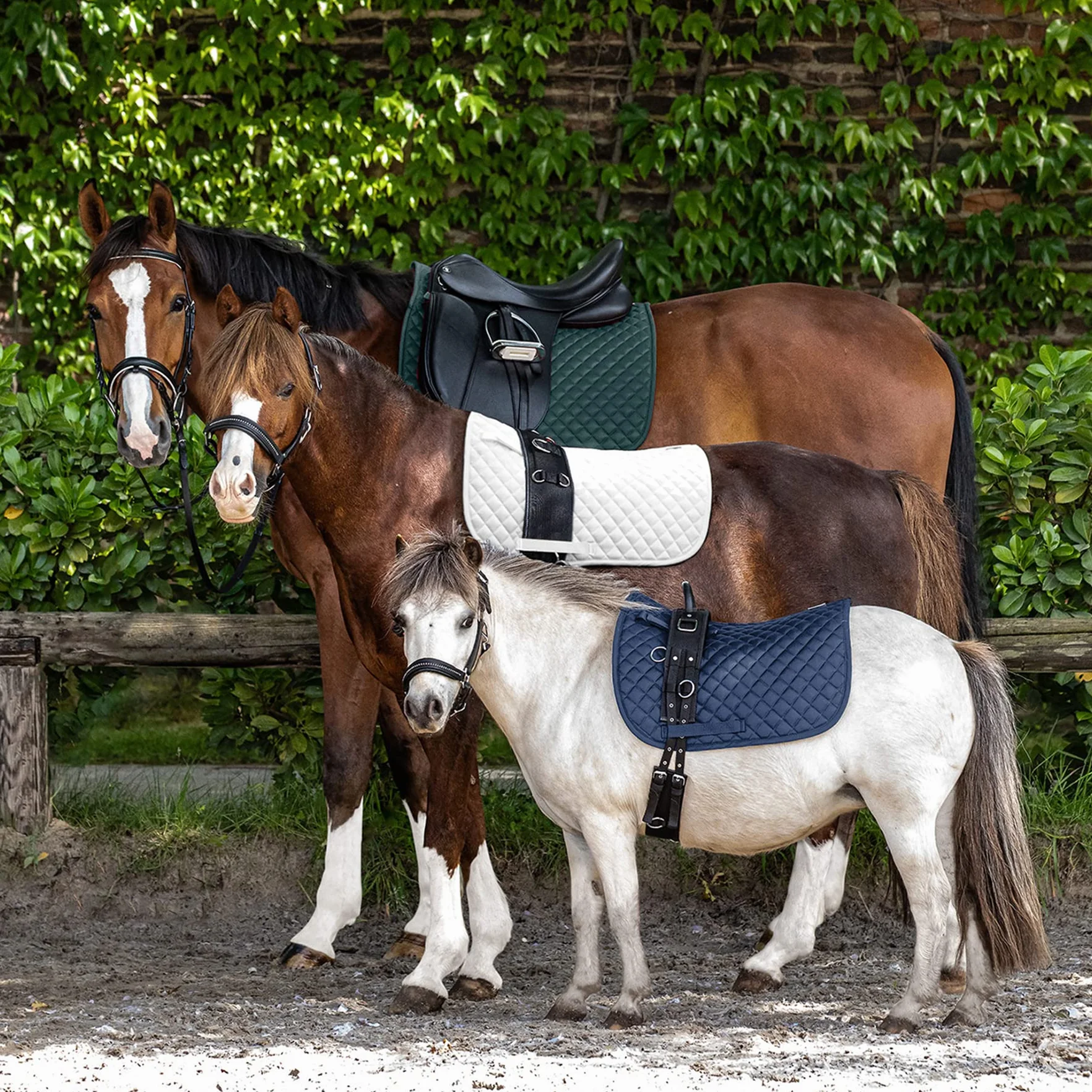 WALDHAUSEN Schabracke Felix, weiß, Pony VSS
