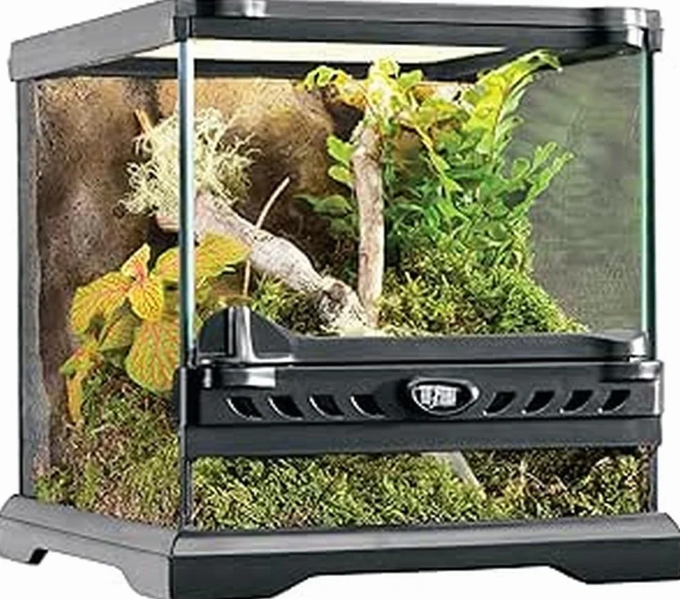 Exo Terra Natural Terrarium Nano Wide, Glasterrarium mit Steinmotivrückwand & Dual-Türsystem, ideal für Wirbellose & kleine Amphibien, 20 x 20 x 20 cm