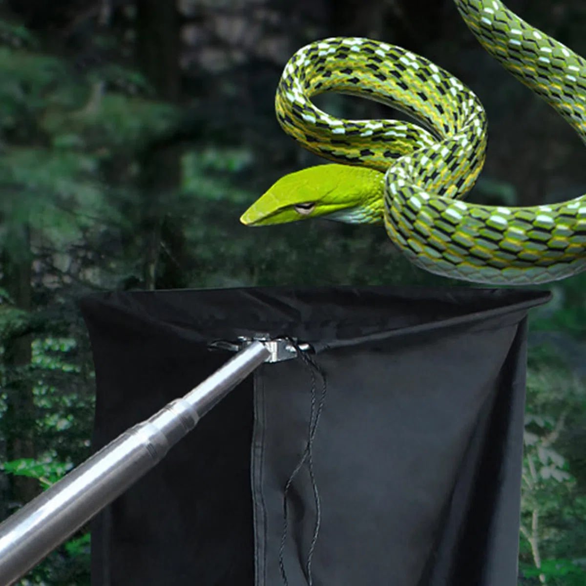 Schlangenzange - Ausziehbarer Greifstab für Reptilien, kreative Werkzeuge im modernen Design, robustes Langstreckenwerkzeug mit Tragetasche | Sichere Handhabung Ausrüstung zum Fangen