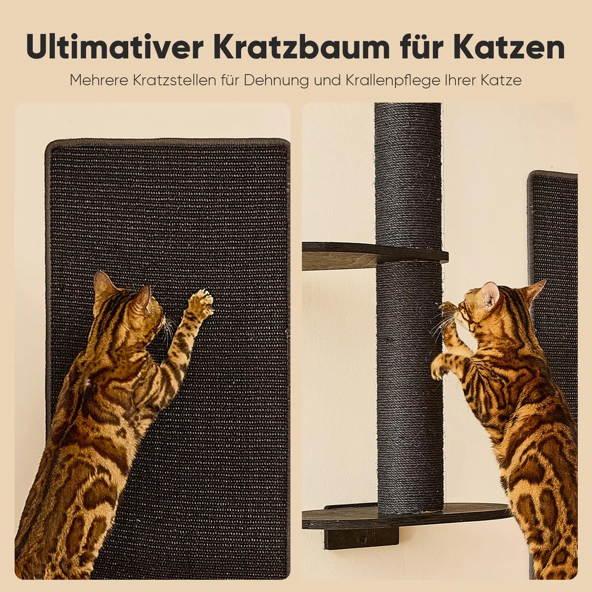 FUKUMARU Kletterwand Katzen-Set, 4 in 1 stabiles Wandmöbel aus mehrschichtigem Holz mit Hängematte, Wandregalen, Kratzbaum und Sisalmatte – Platzsparende Kletterwand (Schwarz)