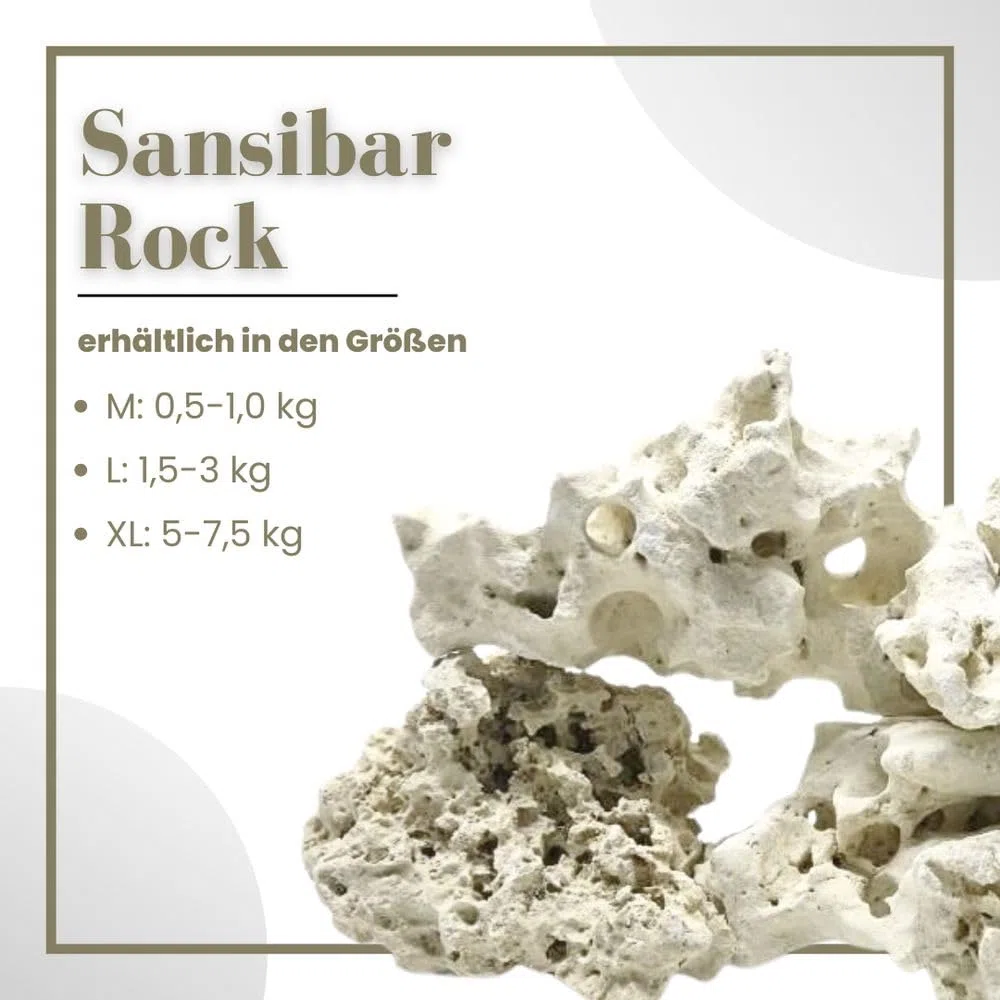 AquaOne Sansibar Rock Aquariengestein Gr.M 0,5-1,0 kg Naturstein für Aquascaping, Malawi Tanganjika & Gesellschaftsbecken Lochgestein Aquarium Deko Stein