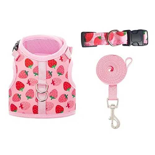 Hundegeschirr mit Cartoon-Kaninchen-Aufdruck, Mesh-Brust, niedlicher Riemen für Haustiergeschirr, Weste für Kleintiere, Chihuahua, Teddy, Yorkshire, Mops