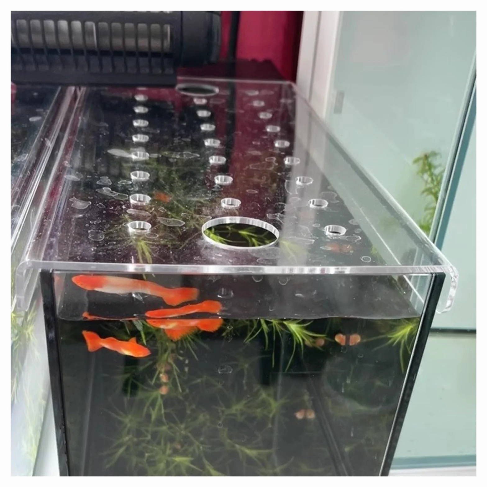 Acryl-Aquarium-Abdeckung mit Frischluftloch, 50,8 cm, 61,2 cm, 76,6 cm, 91,4 cm, 91,4 cm, 101,6 cm, 101,4 cm, 101,5 cm, 137,2 cm, Terrarium, springsicher, damit Katzen Fische fangen