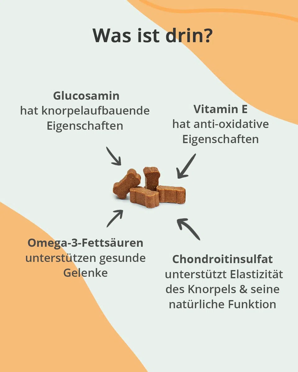 Vetoquinol Caniviton Plus Maxi | 90 Chews | Ergänzungsfuttermittel für Hunde | Kann unterstützend wirken in der Gelenkgesundheit | Enthält Glucosamin und Chondroitinsulfat