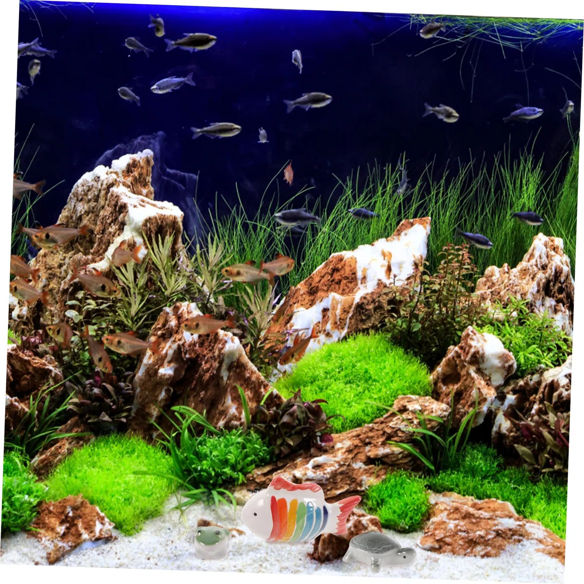 VANZACK 4 Sätze Keramische Tierdekoration Fisch Dekofiguren Für Aquarien Aquarium Schwimmendes Schwimmende Tiere Im Aquarium Aquariumschmuck Aquariendekoration Keramik 3 Stücke * 4