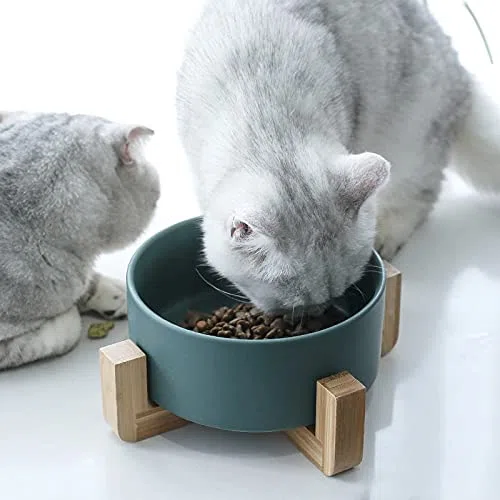 Hundenapf Keramische Hund Fütterungsschale Pet Feeder Waren for Katzen Welpen Lebensmittel Wasser Container Aufbewahrung Wasserer Zubehör Futternapf Katze
