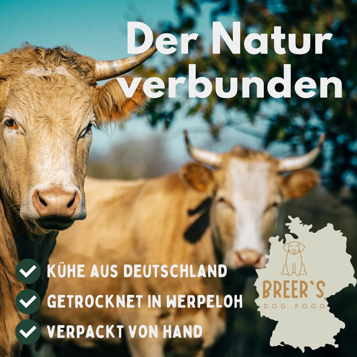 BREERs Getrocknete Ochsenziemer 12 cm für Hunde 25 Stück eigene deutsche Herstellung | Hundeleckerli Kaustange Hundesnack für große, kleine Hunde & Welpen | Kauartikel reinigt und stärkt das Gebiss
