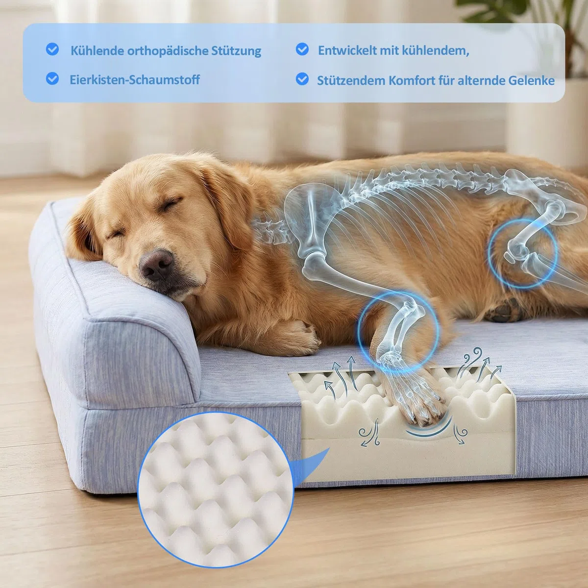 Ownpets Kühlendes Hundebett für Mittelgroße Hunde, Q-MAX>0.4 Orthopädisches Hundekorb mit Seiten, Hundesofa mit abnehmbarem Bezug & wasserdichter Innenlage,rutschfest (XL (121 x 81 x 19 cm))
