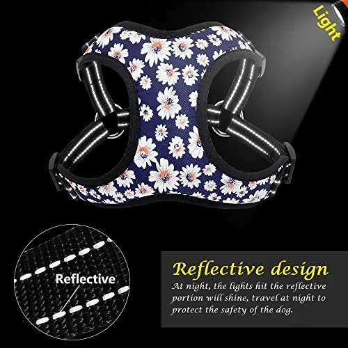 Modisch Bedruckte Nylon-Hundegeschirr-Weste, reflektierend, kein Ziehen, Hundegeschirr-Leine-Set für kleine, mittelgroße Hunde, Katzen, französische Bulldogge