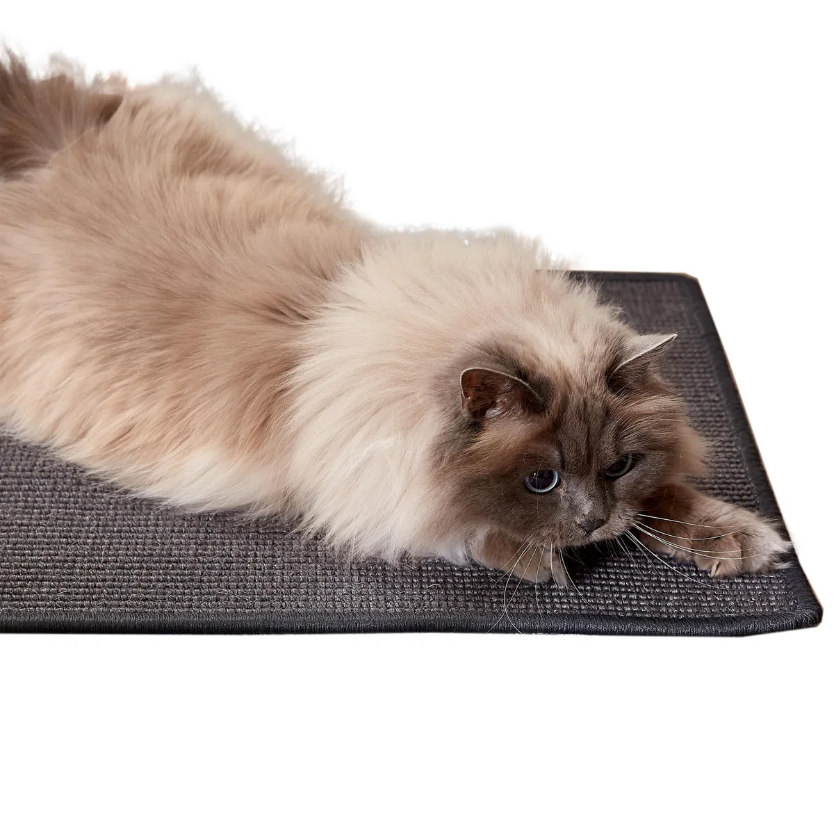 Natürliche Katzenkratzmatte für Katzen - Anthrazit 140x200 cm (Rechteckig) | Rutschfeste Kratzmatte langlebiger Kratzteppich robust für Boden Kratzfläche Sisal für Möbelschutz Kratzunterlage