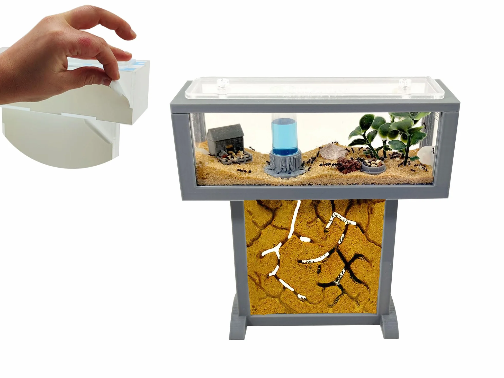 Ameisenfarm-Set T – Mini-Natursand 15x5x16 – Gratis Ameisen inklusive ┃ 20–30 Ameisen