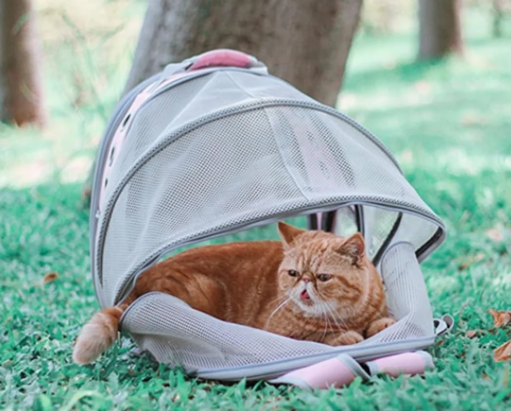 Reise & Transport für Hunde Tragbarer Rucksackträger Mit Geschirr Und Leine, Ideal Für Meerschweinchen, Kaninchen Und Alle Kleinen Haustiere Transportbox Kaninchen(B)