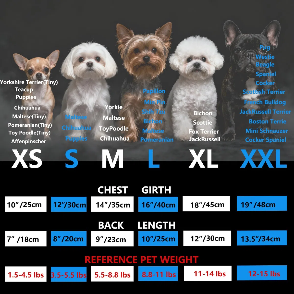 Hunde-Jeansjacke Hundejacke, Cooler Blauer Jeansmantel für kleine, mittelgroße Mädchen, Jungen, Welpen, Kleidung, Komfort-Reversgeschirr, Weste mit D-Ring für Leine