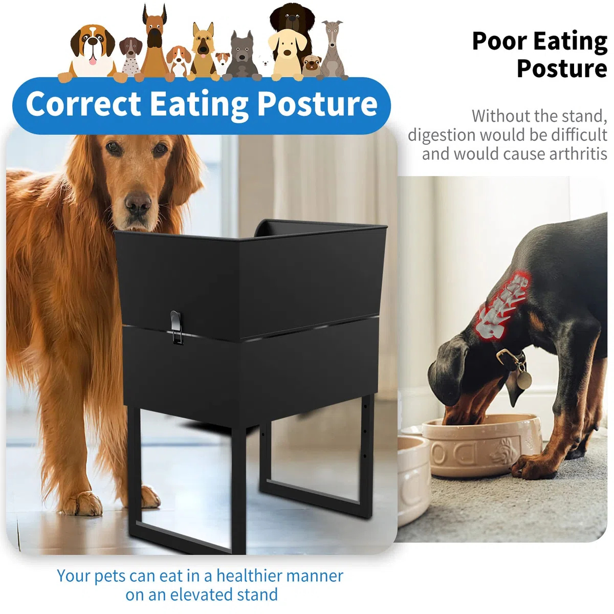 Erhöhte Hundenäpfe für große Hunde, erhöhter Hundenapf, Ständer verstellbar von 28,4 cm - 61 cm, mit 2 Edelstahl-Hundenäpfen, erhöhte Futternäpfe für kleine, mittelgroße und große Hunde und Haustiere