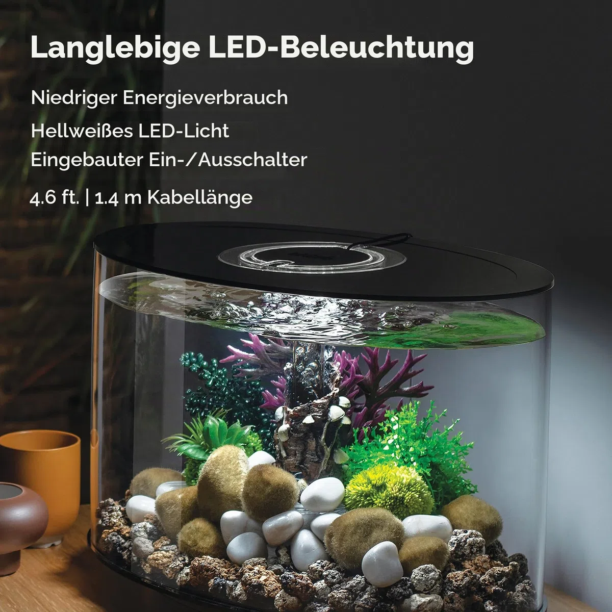 biOrb LOOP 15 LED Aquarium, 15 Liter - Acryl-Aquarium, Komplettset inklusive Lichteinheit und patentiertem Filtersystem, 360 Grad-Modell
