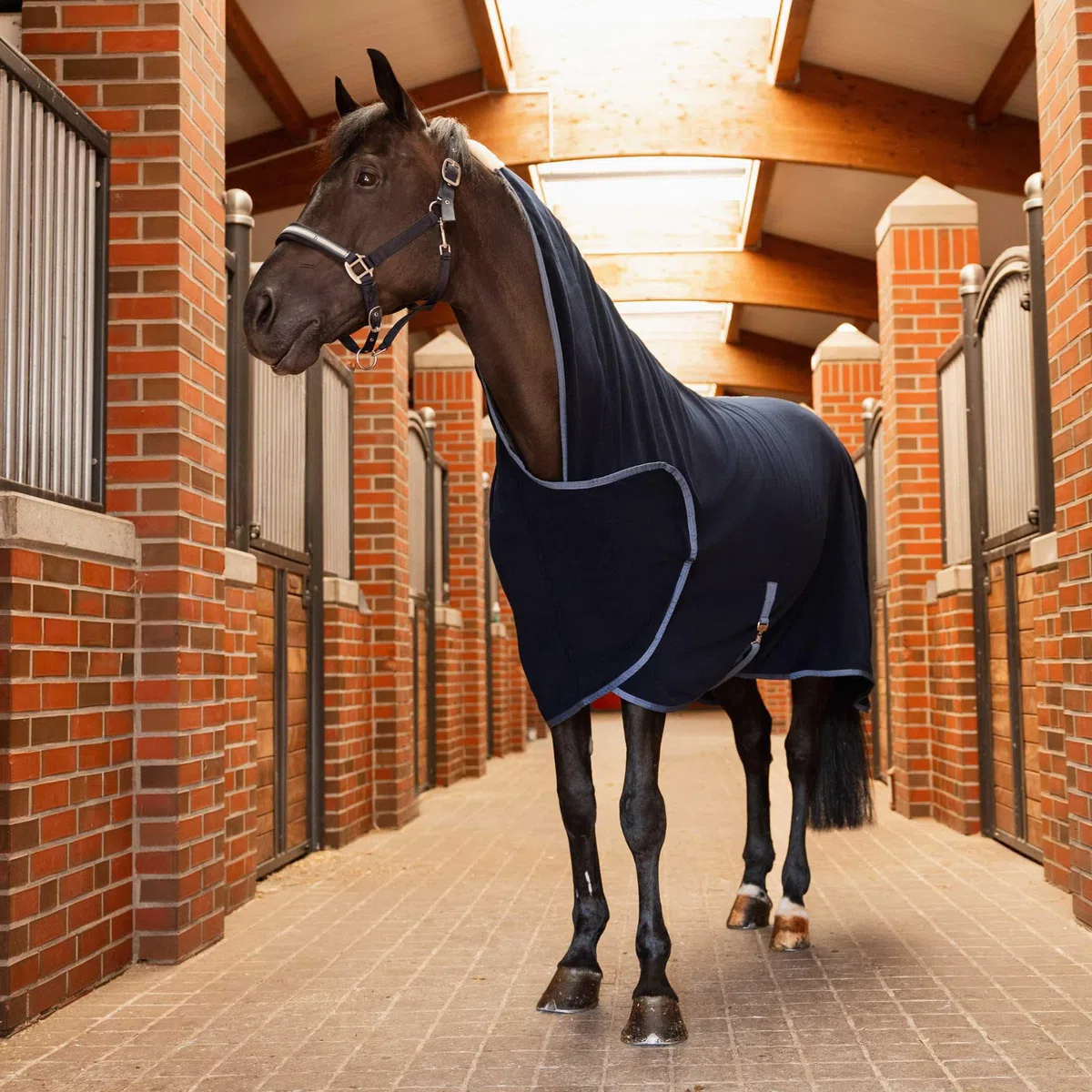 Horze Pferde Fleece-Abschwitzdecke Eternal Gaze, Blau, 145