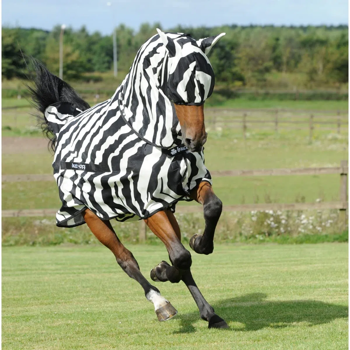 Bucas Buzz-Off Fliegendecke Zebra Full-Neck, 145
