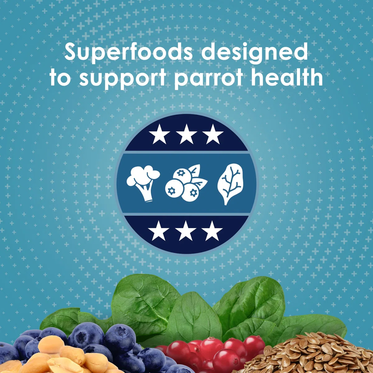 PARROT FORTI DIET PRO HEALTH 5LB