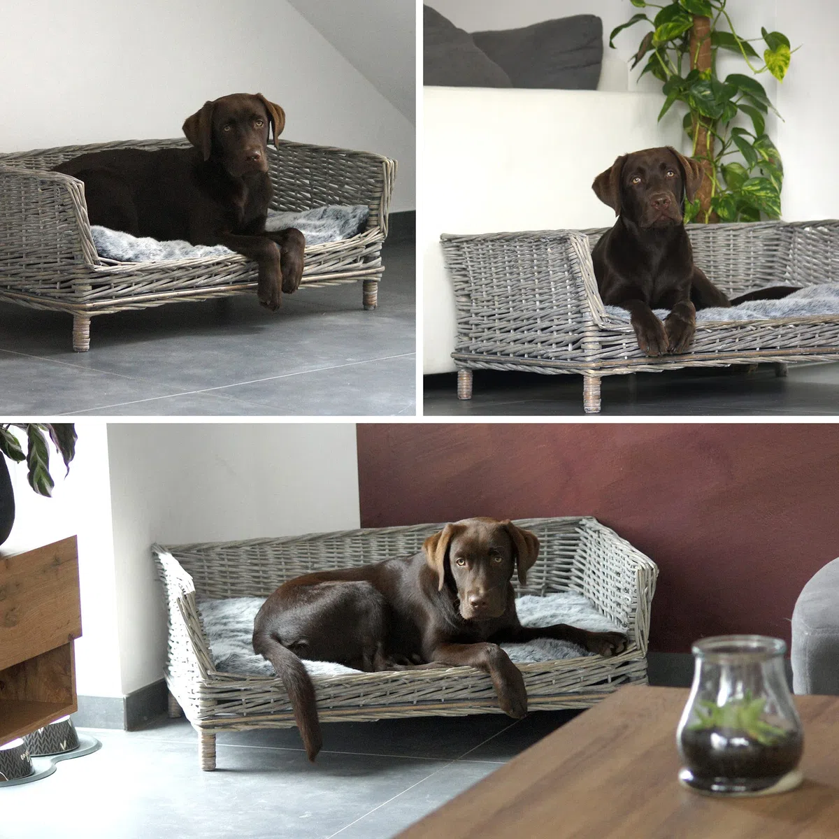 UNUS Hundebett Hundekorb Hundekörbchen aus Weide eckig mit Kissen grau für große und kleine Hunde 88 cm Breite