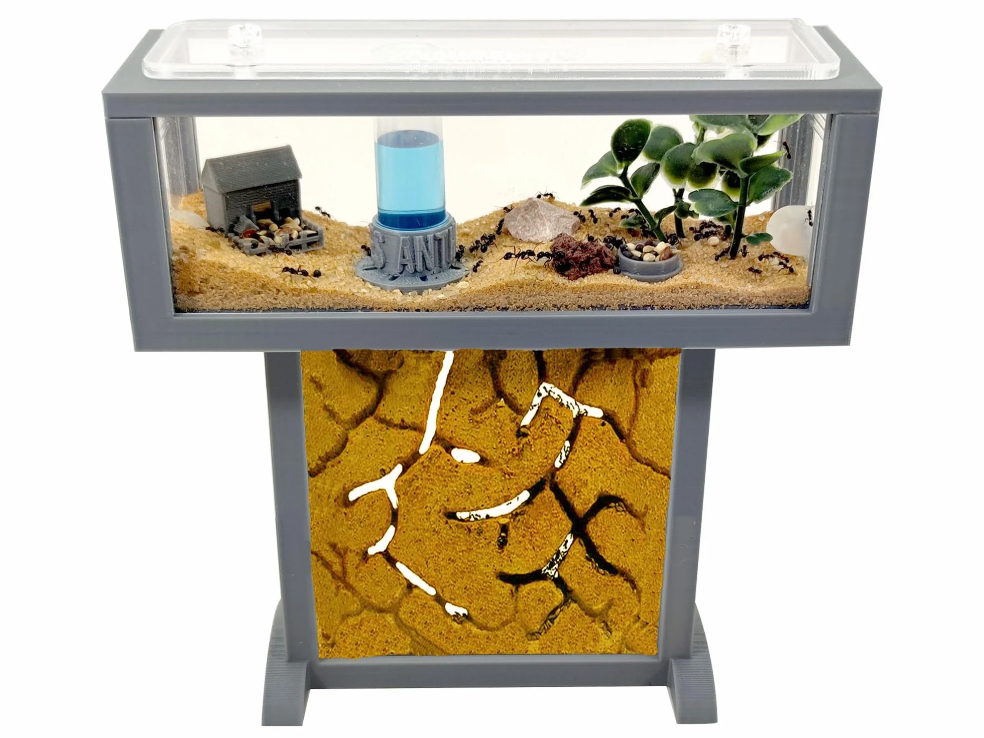 Ameisenfarm-Set T – Mini-Natursand 15x5x16 – Gratis Ameisen inklusive ┃ 20–30 Ameisen