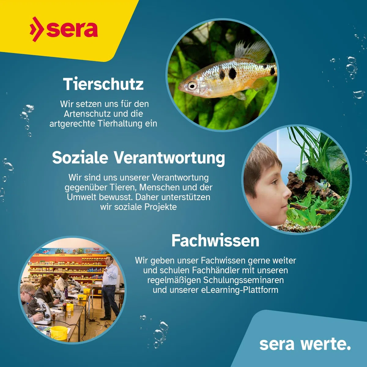 sera Tortoise Adult Vital Mix 3,8L (750g) | Hauptfutter für Landschildkröten & Herbivore Reptilien | Pflanzliches Schildkrötenfutter | Schildkröten zubehör | Schildkröten Futter