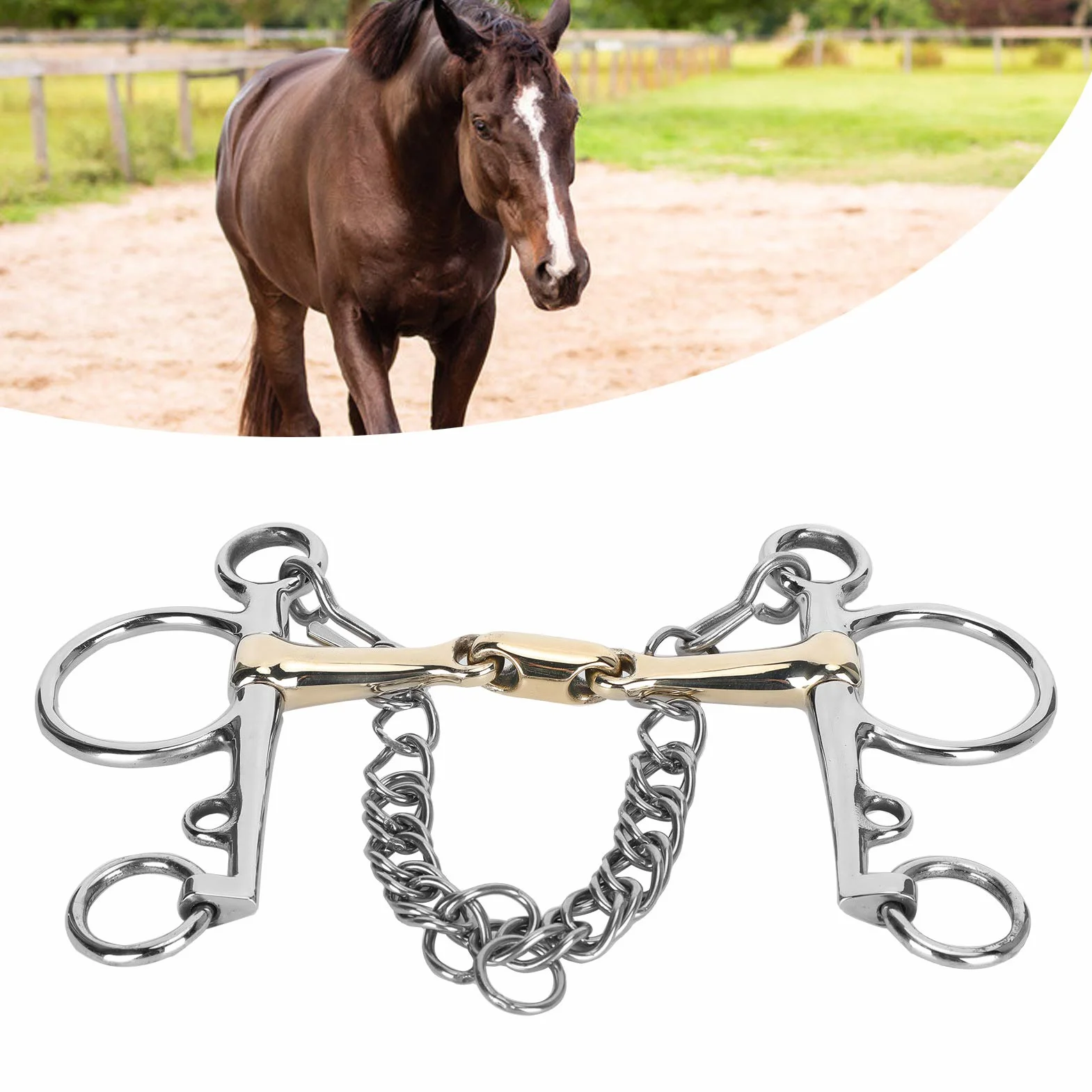 Pelham, Edelstahl Pelham Gelenkmund Pelham Bit Horse Bit Edelstahl Pelham Horse Bit Zubehör