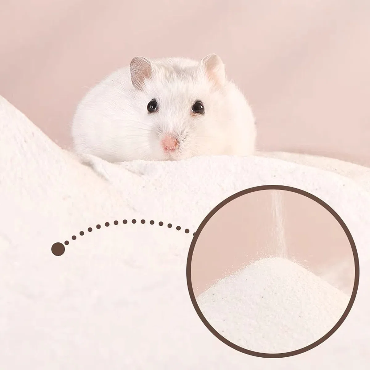 Dr.Dudu Hamsterbadesand, staubfreier Wüstensand oder als Töpfchentoilettenstreu für Hamster, Chinchillas, Rennmäuse, syrische Mäuse, Kleintiere, 3 kg, Weiß