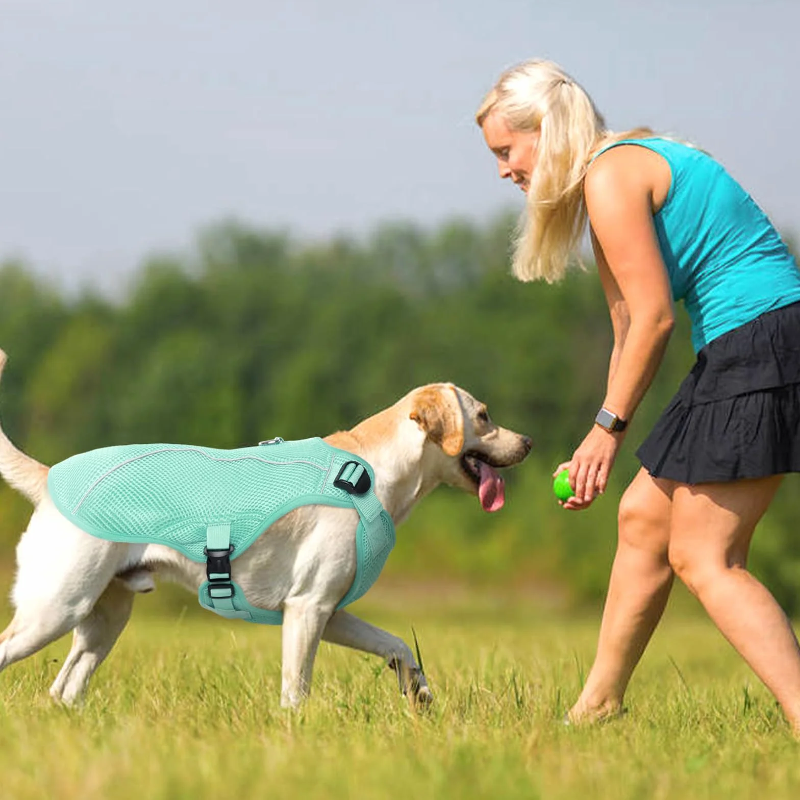 Kuoser Hund Kühlweste, Kühlweste für Hunde zur Abkühlung im Sommer, Atmungsaktive Hundekühlweste mit Hitzeschutz & Sonnenschutz, Outdoor Cooling Vest Dog, Grün M