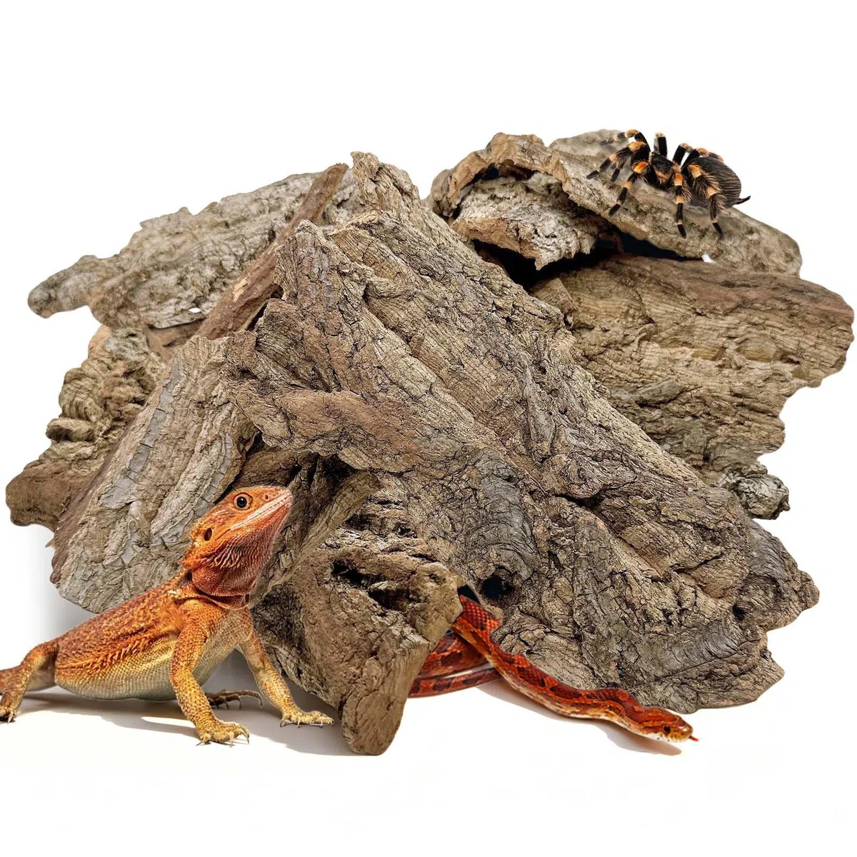BNOSDM Reptilien-Terrariumrinde Substrat Bettwäsche Schildkröte Naturkork Rinde Reptilien Klettermatte Lebensraum Dekor für Eidechse Schlange Spinnen Einsiedler Krabben Tarantel Geckos Bartagamen (0,3