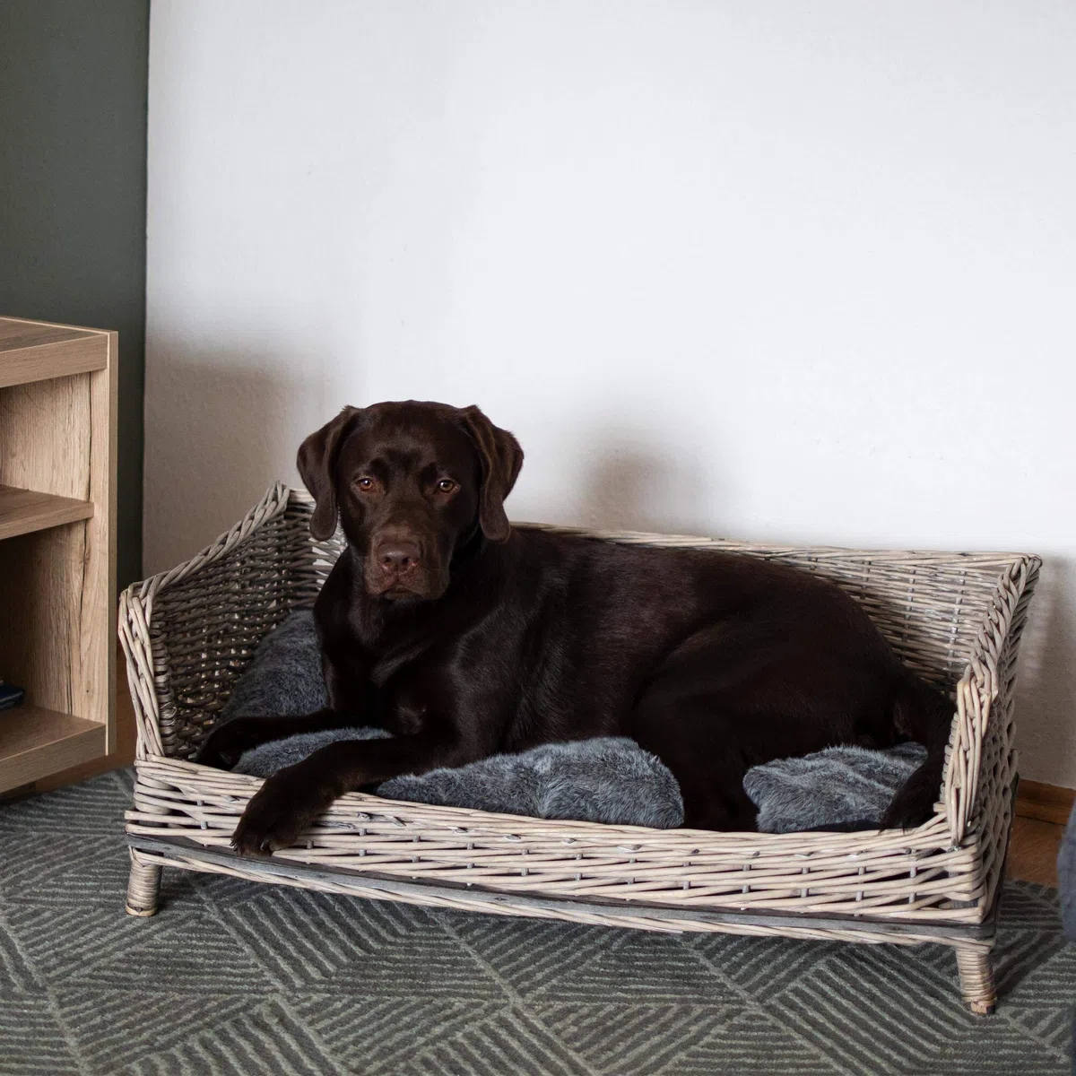 UNUS Hundebett Hundekorb Hundekörbchen aus Weide eckig mit Kissen grau für große und kleine Hunde 88 cm Breite