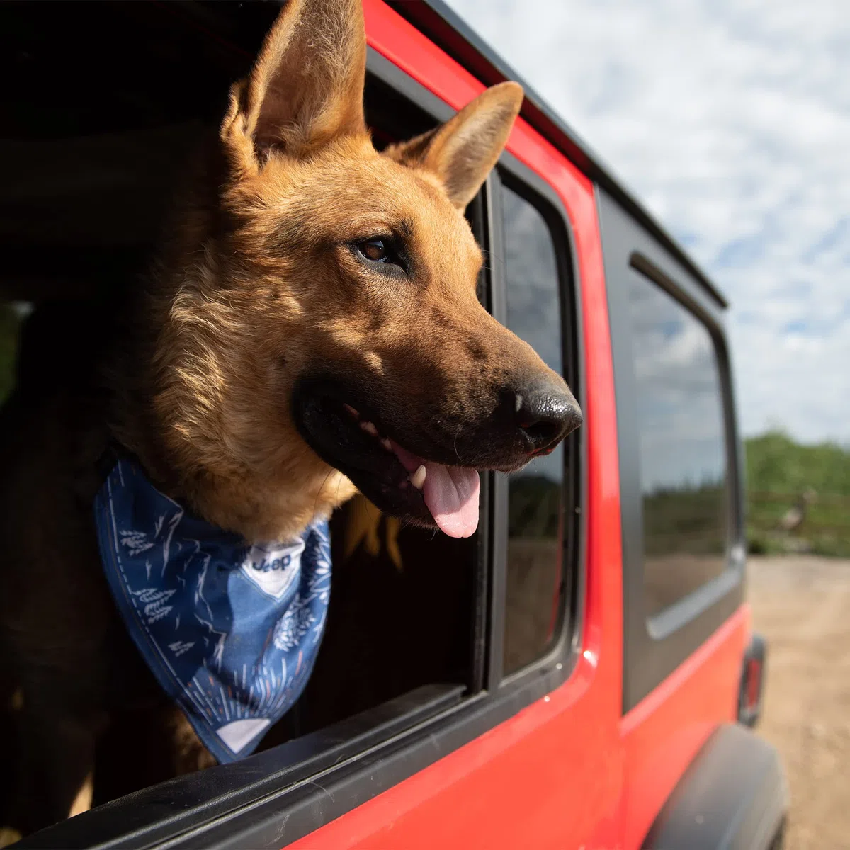 Jeep Backroads Hundehalstuch, Bandana-Ärmel auf Nylon-Gurtband, Berge, groß