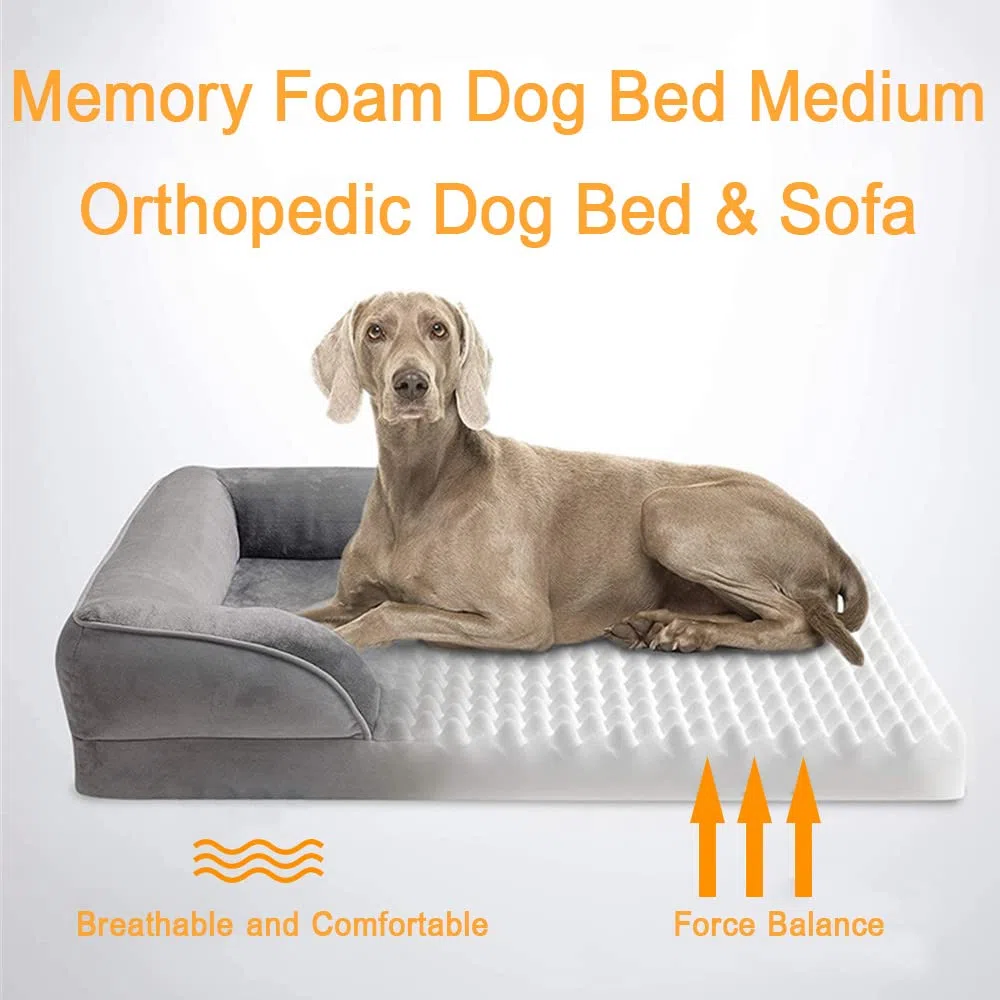 Orthopädisches Hundebett kleine Hunde - Hundesofa mit Memory Foam, gemütliches Hundecouch Hunde Bettchen mit abnehmbarem waschbarem Bezug