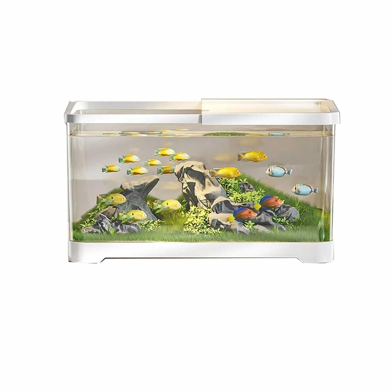 Terrarium Aquarium Desktop Transparent Acryl Aquarium Mit Deckel Und Basis Kleine Wohnzimmer Haushalt Fischzucht Tank Insekten Schildkröten(Weiß,Groß)