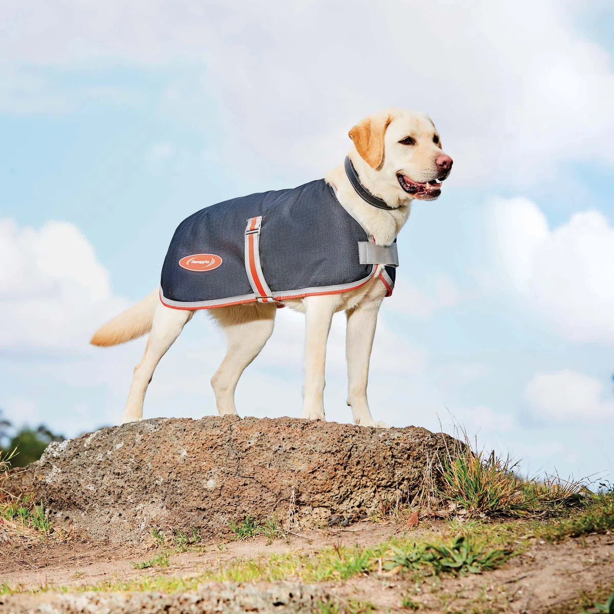 WeatherBeeta Hundemantel ComFiTec 1200D Therapy-Tec - 30 cm - Weiß-Silber