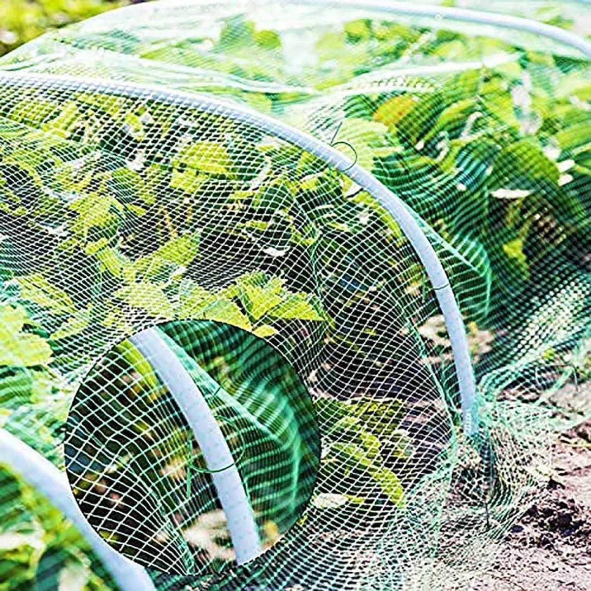 Schutznetz Katzen Balkon Ohne Bohren Gartennetze Katzennetz Schutznetz FüR HüHner 1.5 x1.5cm große Netz für Rausfallschutz Schutznetz für Katze,6x10m