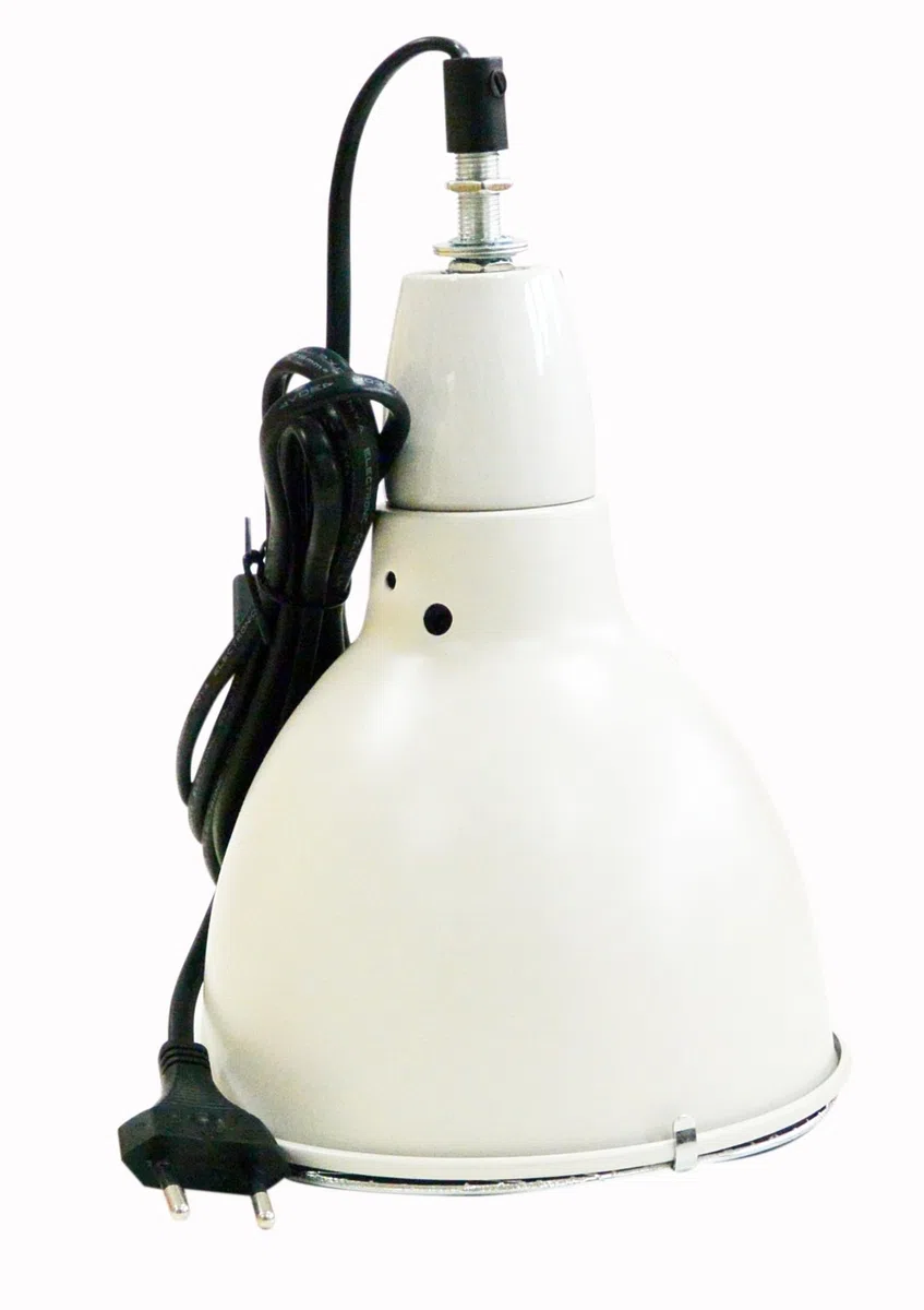 Lucky Reptile HTR-1W Thermo Socket Reflector klein weiß