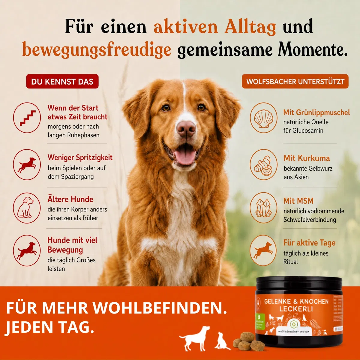 Gelenktabletten für Hunde als Snack | Gelenke & Knochen Leckerli 2 x | Mit Grünlippmuschel & MSM | Gelenkschutz, Knorpelpflege & Knochenaufbau | Unterstütz Gelenke und Knochen