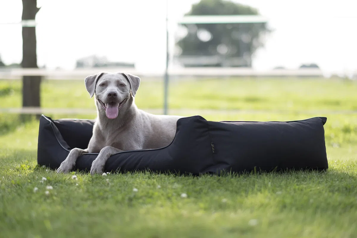 Lebon - Hundebett Paula Plus Schwarz - Orthopädisch - 3 Größe - 80 cm - 100cm - 120cm -Mit Reißverschluss und waschbar - Pflegeleicht - Schmutz - und Wasserabweisend (XL)
