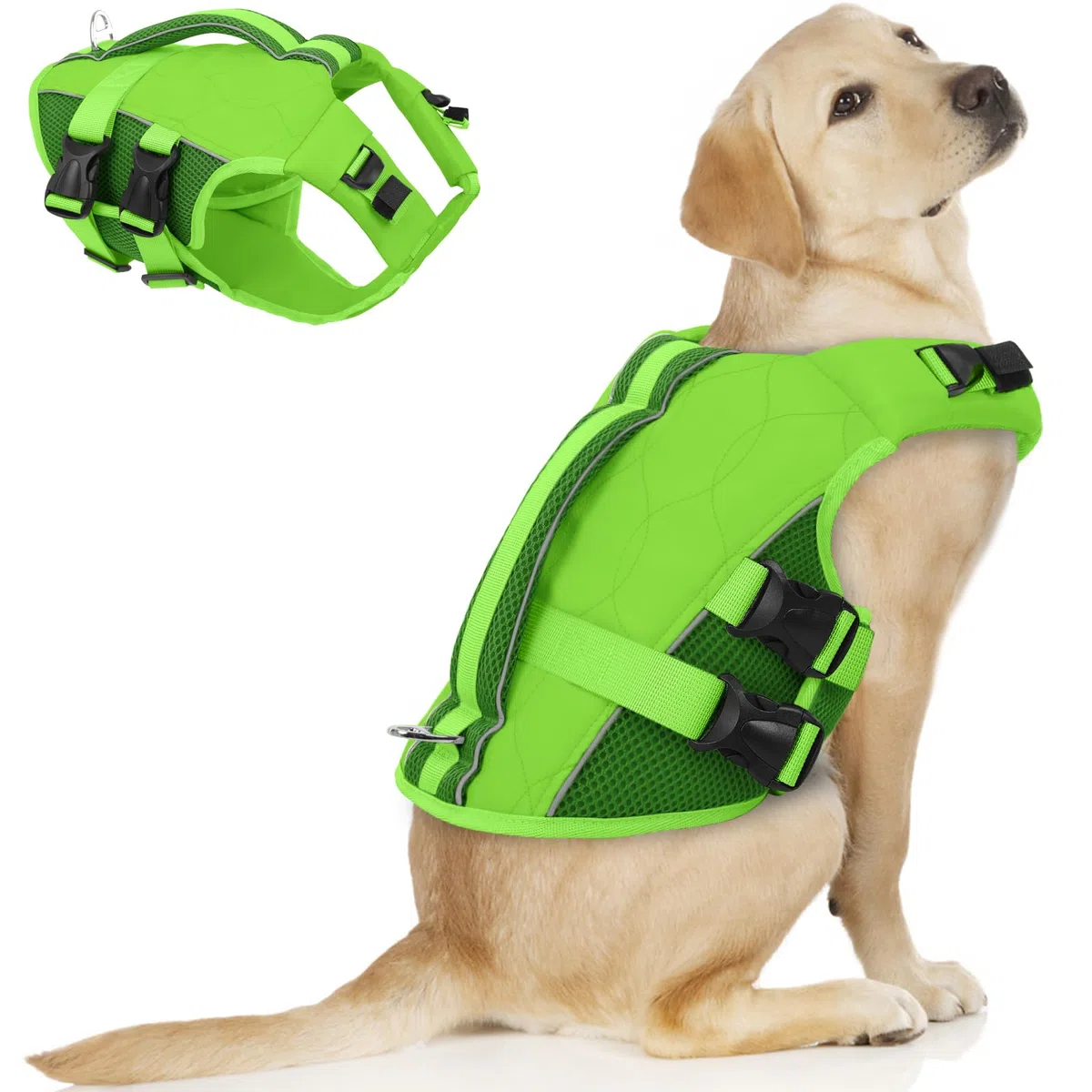 ASENKU Schwimmweste Hund Groß XL,Verstellbar & Ripstop Hundeschwimmweste,Rettungsweste für Hunde mit Griff und Reflektierend, Hunde Schwimmweste für Chihuahua,Dackel,Französische Bulldogge, Labrador