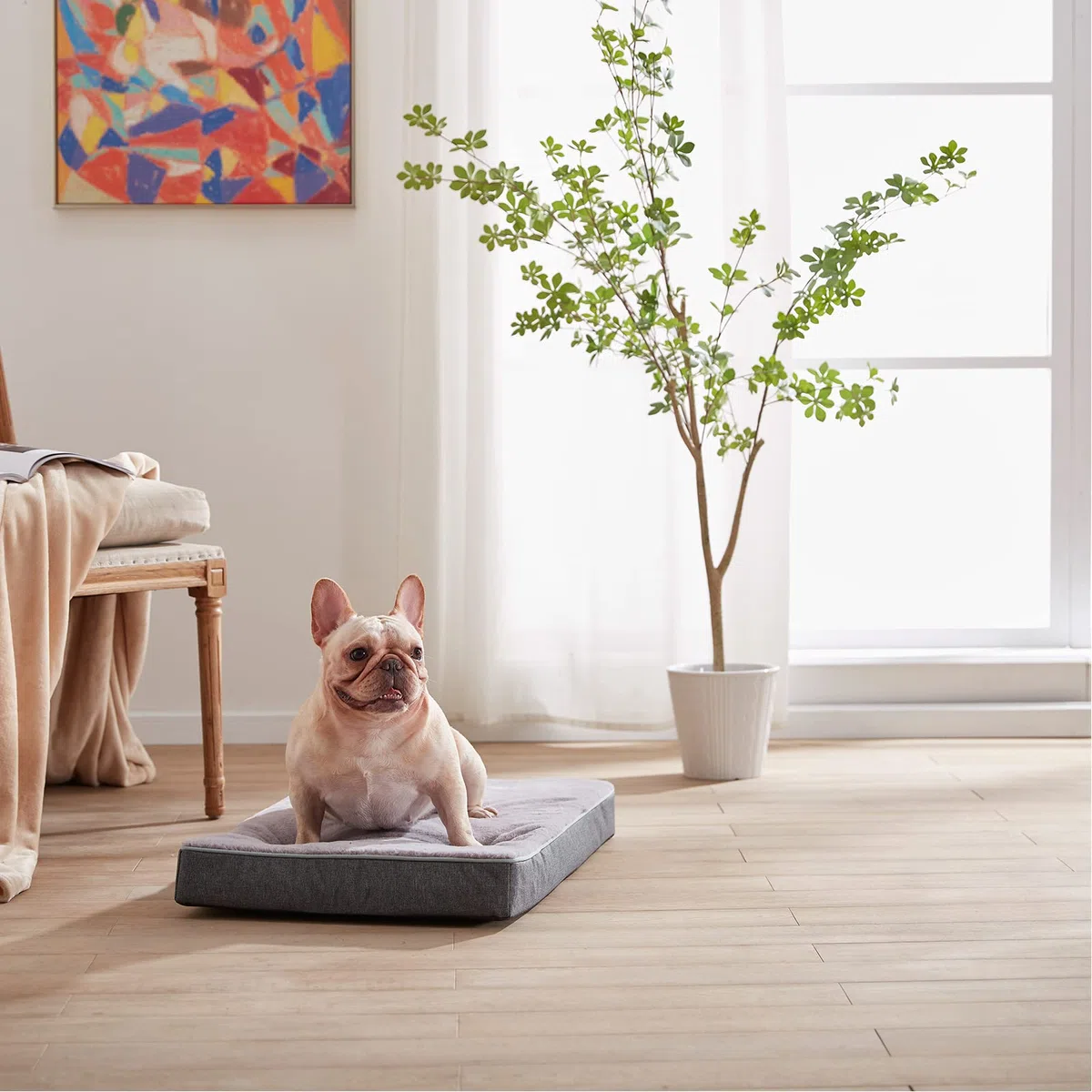 Großes orthopädisches Hundebett aus Memory-Schaum mit abnehmbarem und waschbarem Plüschbezug, kühlendes Gel-Eierkisten-Haustierbett für große und mittelgroße Hunde