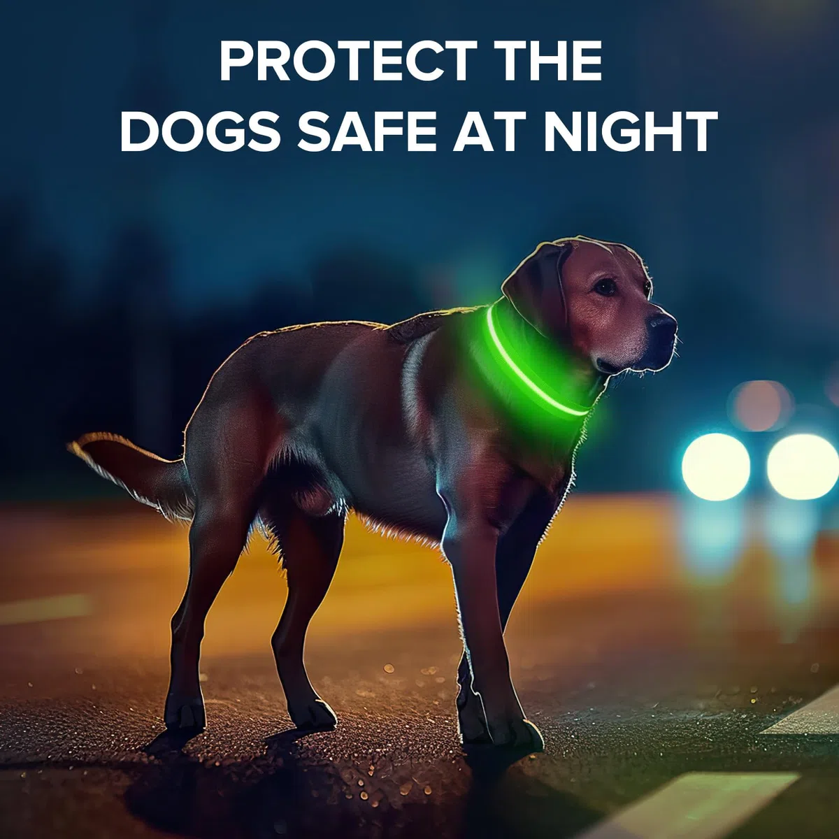Leuchtendes Hundehalsband für nächtliche Spaziergänge, USB-C-wiederaufladbares LED-Hundehalsband, leuchtet im Dunkeln, wasserdicht, leuchtendes Halsband, verstellbar mit 3 Modi für kleine