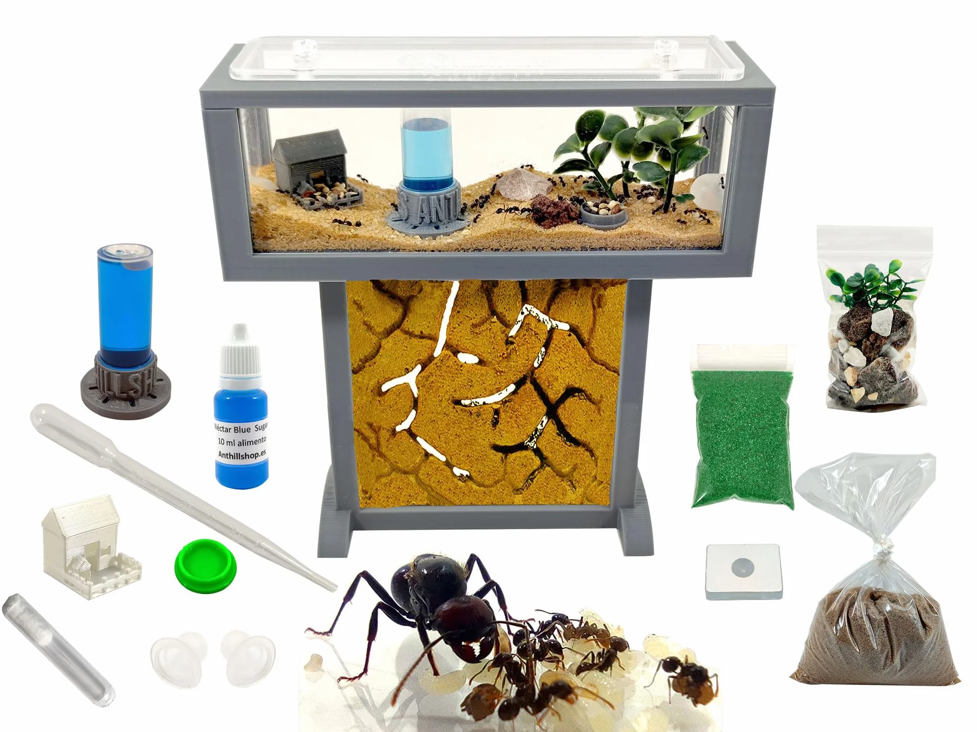 Ameisenfarm-Set T – Mini-Natursand 15x5x16 – Gratis Ameisen inklusive ┃ 20–30 Ameisen