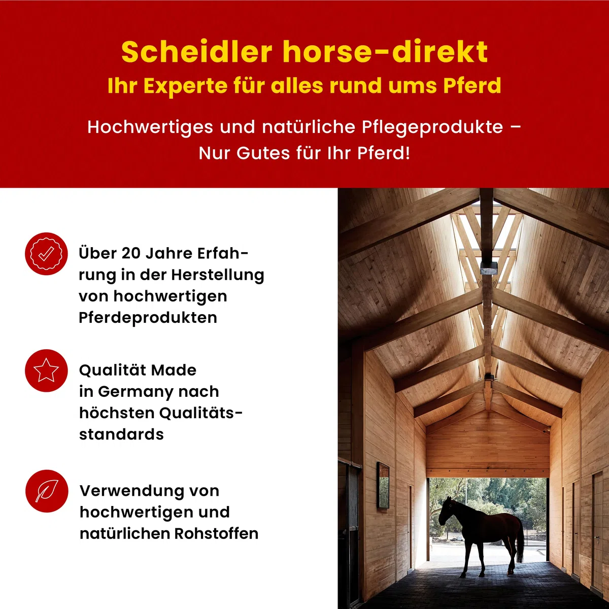 Scheidler horse-direkt Hagebutten getrocknet für Pferde 2kg – Ganze Hagebutte in Spitzenqualität – 100% Natürlicher Vitamin C Booster – Ideales Pferdeleckerli/Zusatzfutter ohne Zuckerzusatz