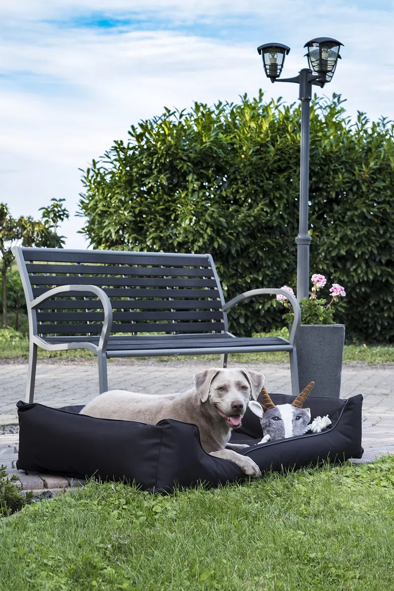 Lebon - Hundebett Paula Plus Schwarz - Orthopädisch - 3 Größe - 80 cm - 100cm - 120cm -Mit Reißverschluss und waschbar - Pflegeleicht - Schmutz - und Wasserabweisend (XL)