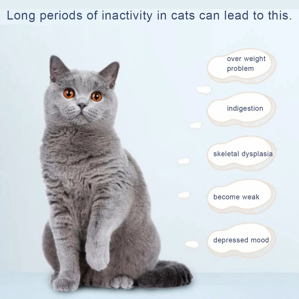 Katze Laufband Katze Heimtrainer Katze Klettergerüst Katzenspielzeug Katzenstreu Katzenmöbel Roller Katze Laufrad,für die tägliche Bewegung Ihres Haustieres Durchmesser 1,2 Meter